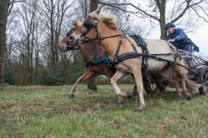 oefenmarathon 2016 MG 3553-3553    